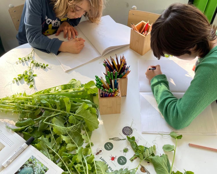 2 children drawing and writing, plants on table