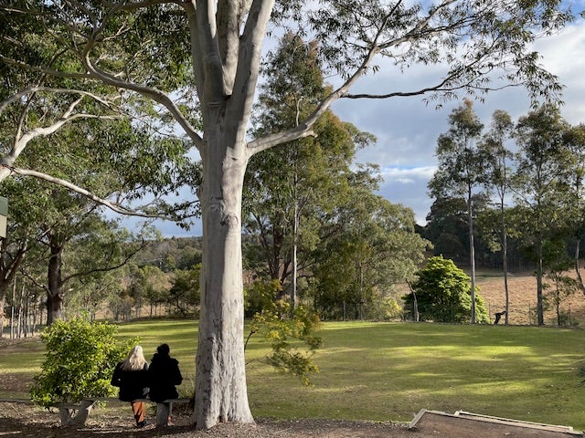 2 people sitting on bench under tree looking out over grassy oval and paddocks beyond