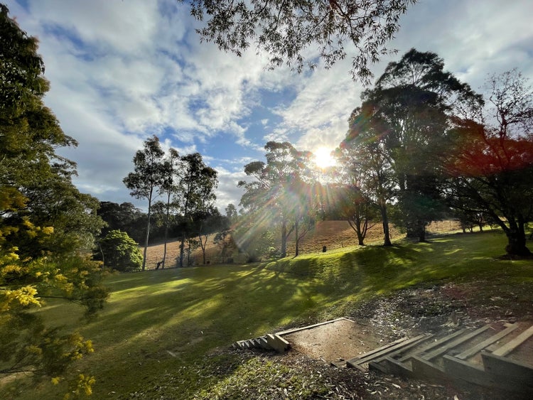 sun shining over green field and trees, steps in foreground