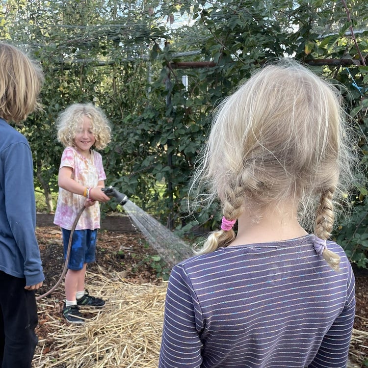 young male smiles as he holds the hose watering the garden and two friends look on