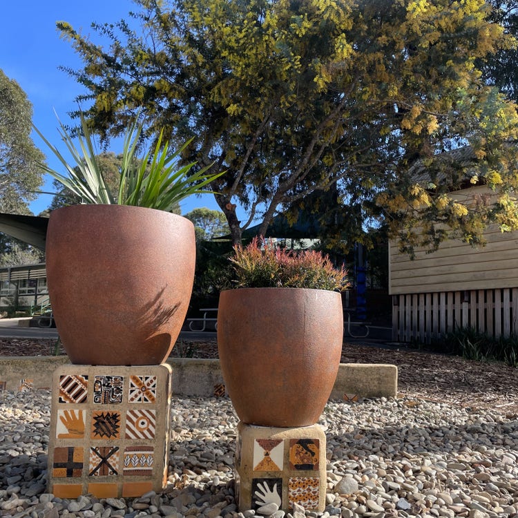 2 feature pots with plants in them